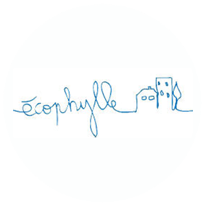 ECOPHYLLE : Nouvelle stratégie et Cohésion d’équipe