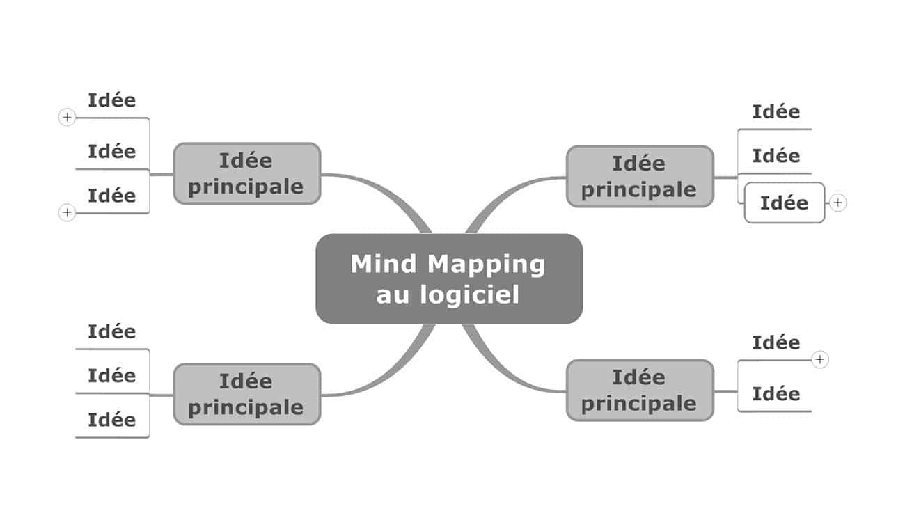 Construction Mind Mapping au logiciel (étape 2)