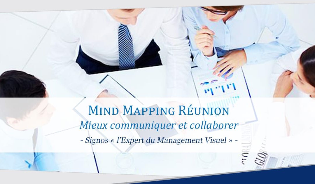 Mind Mapping Réunion