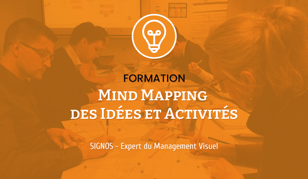 Formation Management Individuel – Mind Mapping